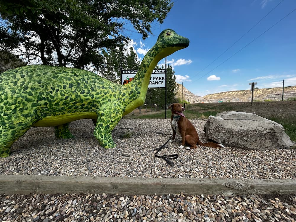 A image of a dinosaur Geronimo