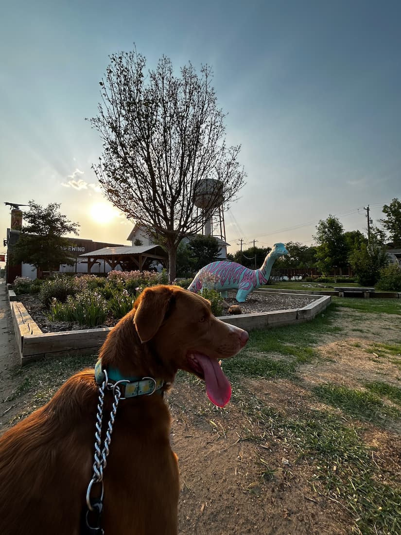 A image of a dog taking a photo with a dinosaur behind it