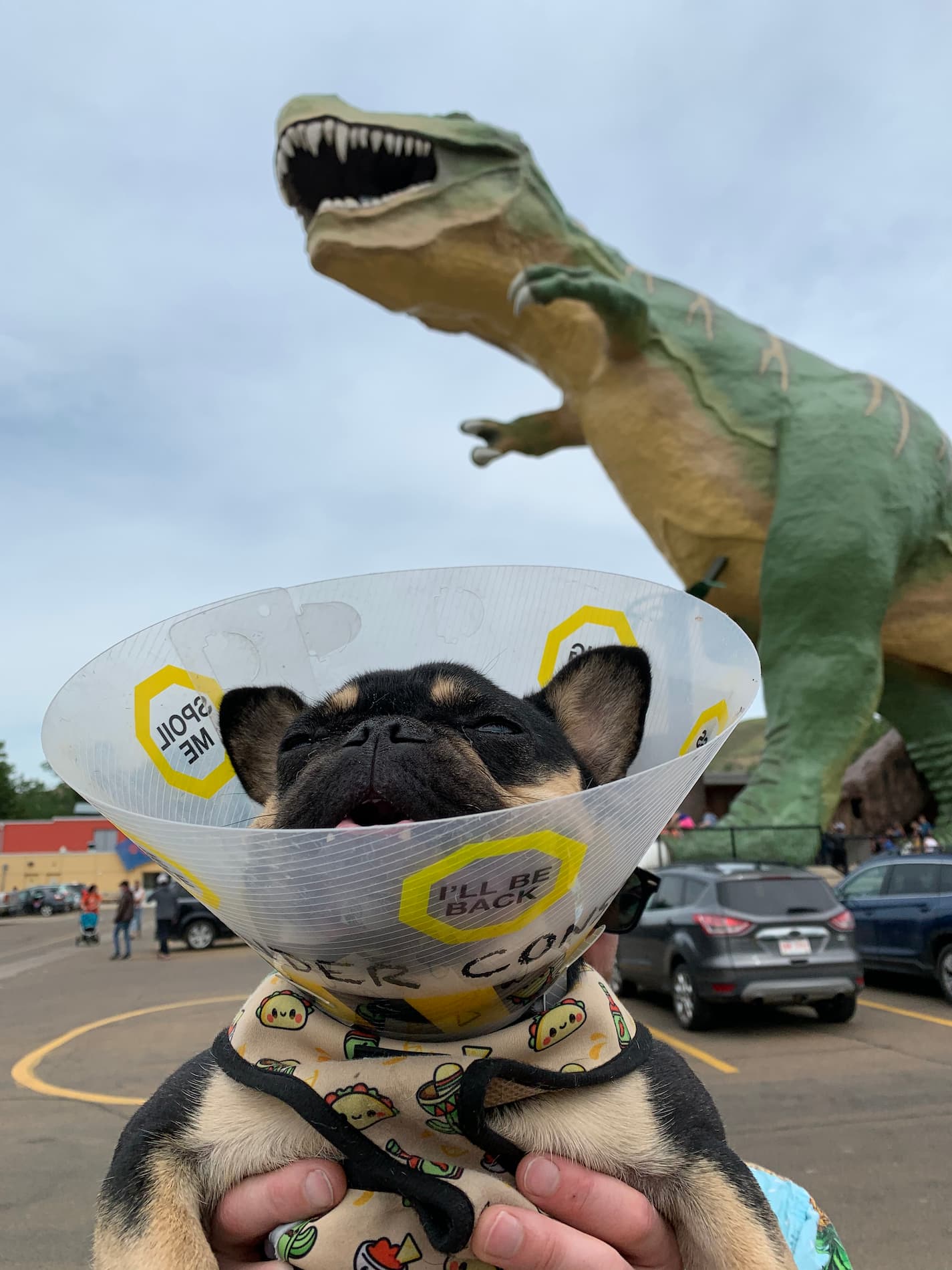 A image of a dinosaur behind a dog